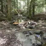 DSCN0101