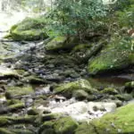DSCN0107