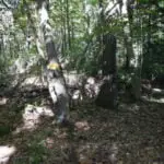 DSCN0194
