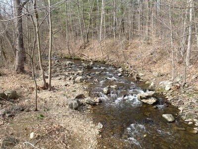 Friends Creek Trout Fishing (MD)