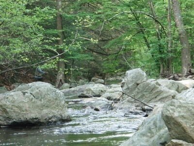 Big Hunting Creek Trout Fishing (gorge Section)