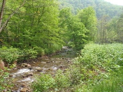 Trout Hike - Savage (MD - Bloomington) - CatchGuide Outdoors