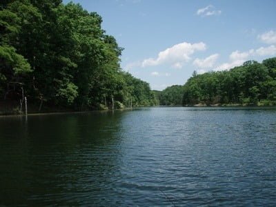 Lake Frederick Fishing (VA)