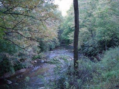 Trout Hike - Middle Fork (MD - Lower Section) - CatchGuide Outdoors