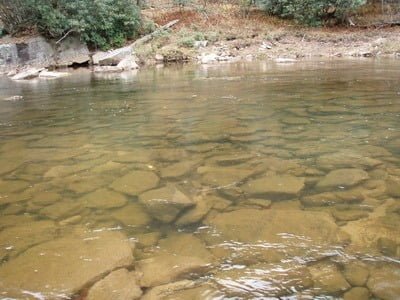 Shavers Fork of the Cheat Trout Fishing (WV - FR 49 Access)