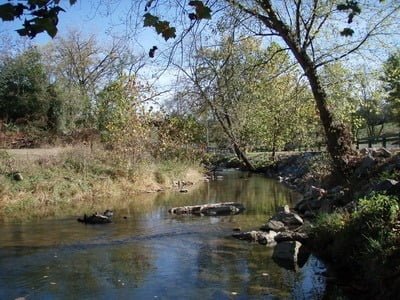 Trout Hike - Hawksbill Creek Trout Fishing (VA)