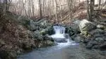 Hogcamp Branch - Blue Ridge