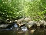 On small, tight streams, use a short full flex/slow action rod. A 3/4 weight or Tenkara rod will work fine