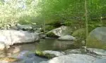 Small tight water gives the Tenkara angler a decisive advantage