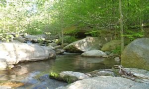 Small tight water gives the Tenkara angler a decisive advantage