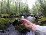 Frogs Fanny Floatant
