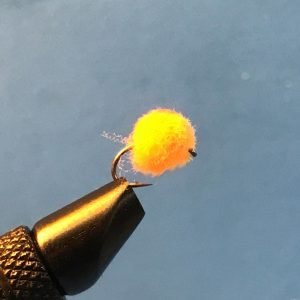 Egg fly