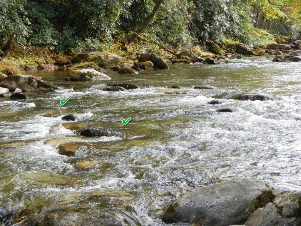 Likely places to fish in riffle