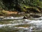 Large Rock in Stream