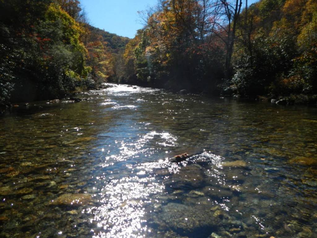 Clear water in trout stream