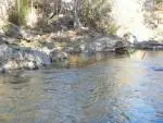 Fishable trout pool 5