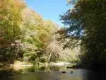 Fishable trout pool 6