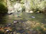 Fishing a run