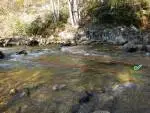 Where to cast in a trout run