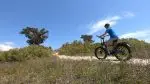 Mokwheel Upland Plus