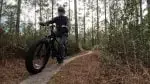 Vanpowers Manidae on trail