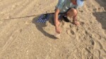 T-zack sensitivity test