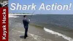 Shark fishing