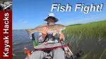 Redfish