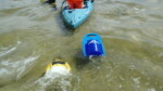 Baitshark vs Frabill