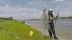 Bait storage