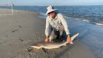 Shark fishing at Caswell Beach
