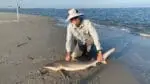 Shark fishing at Caswell Beach
