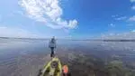 Low Tide in Wilmington