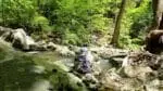 Fishing in small stream