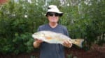 Nice Redfish