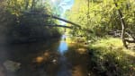Crooked Creek Fee Fishing